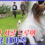 스타 펫 트래블 in FRANCE 스틸컷