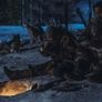 시베리아 스틸컷