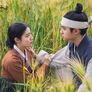 백일의 낭군님 스틸컷
