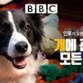 인류의 오랜친구: 개에 관한 모든것 스틸컷