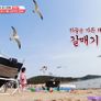 놓친 예능 따라잡기 스틸컷