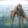 황수경의 생활보감 스틸컷