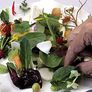 브라씨 부자의 맛있는 가업 잇기 스틸컷