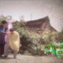 소나무 스틸컷