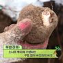 원더풀 라이프 스틸컷