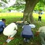 한국기행 - 맛나다, 떡 스틸컷