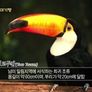 세계테마기행 - 신이 빚은 대자연,아르헨티나 스틸컷