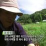 한국기행 - 바람의 언덕 스틸컷