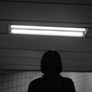 정동길 스틸컷