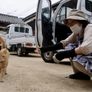 고코구 신사의 고양이들 스틸컷