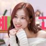 사나의 냉터뷰 스틸컷