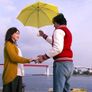 울지마, 하라쨩 스틸컷