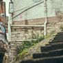 데이드림 스틸컷