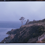 나무 스틸컷