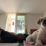 그만먹개(犬) 캠페인 2023 스틸컷