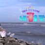 다문화 희망 프로젝트 네 꿈을 펼쳐라 스틸컷