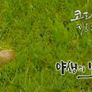 추석특집 코리언지오그래픽 스틸컷