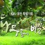 추석 특집 아산 배나무골의 비밀정원 스틸컷