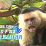 물은 생명이다 스틸컷