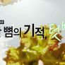 한 뼘의 기적, 텃밭 스틸컷