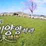 설 특집 의기양양하라 스틸컷