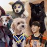 뷰티 앤 더 비스트 스틸컷