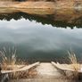 과수원 스틸컷