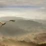 사계 스틸컷