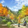 둘이서 솔로 캠프 스틸컷