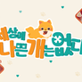 세상에 나쁜 개는 없다 시즌 4 스틸컷