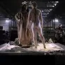 골트지우스 앤 더 팰리칸 컴퍼니 스틸컷
