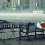 애니멀스. 시즌 3 스틸컷