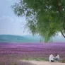 니적황언야동청 : 거짓말의 온도 스틸컷
