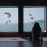 우리는 섬으로 갔다 스틸컷