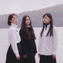 하얀 꽃과 열매 스틸컷