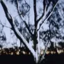 밤의 땅 스틸컷