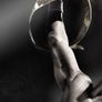 WWE Night of Champions 2013 스틸컷