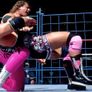 WWE 서머슬램 1994 스틸컷