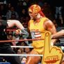 WWE 로열 럼블 1992 스틸컷