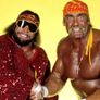 WWE 서바이버 시리즈 1988 스틸컷