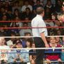 WWE 서바이버 시리즈 1992 스틸컷