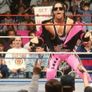 WWE 킹 오브 더 링 1994 스틸컷