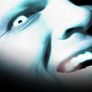 WWE 언포기븐 2004 스틸컷