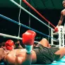 42 투 1 스틸컷