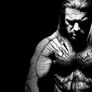 WWE 브레이킹 포인트 2009 스틸컷