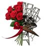 WWE TLC: Tables, Ladders and Chairs 2013 스틸컷