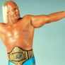 WWE 레슬링 클래식 1985 스틸컷