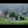울타리 스틸컷