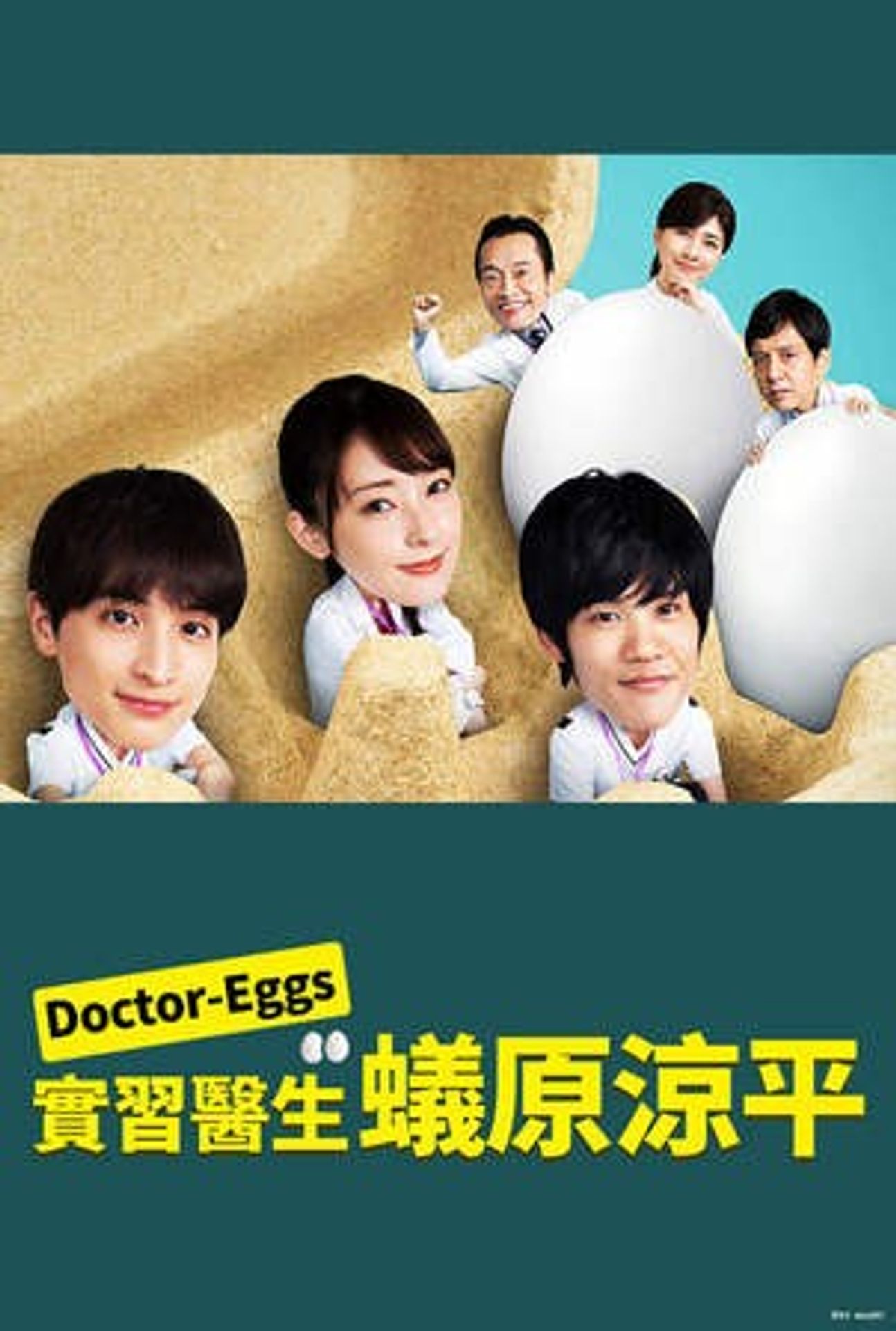 닥터 Eggs