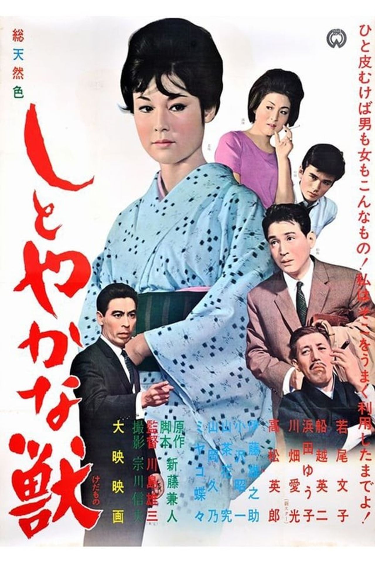 정숙한 짐승